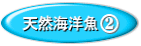 Å·Á³ºúÈéͳÍ襳¥é¡¼¥²¥ó