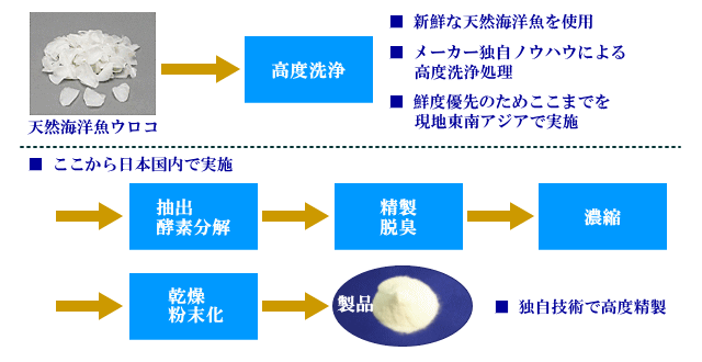 天然海洋魚鱗由来コラーゲンペプチド製造工程