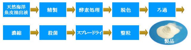 天然海洋魚皮由来コラーゲンペプチド製造工程