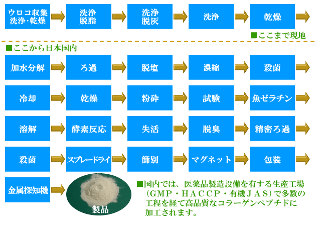 淡水魚鱗由来スカールコラーゲンペプチド製造工程