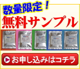 ̵ÎÁ¥µ¥ó¥×¥ë¤Î¤ª¿½¤·¹þ¤ß¤Ï¥³¥Á¥é