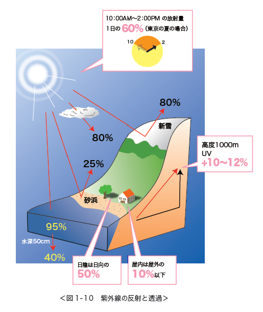 紫外線の透過と反射